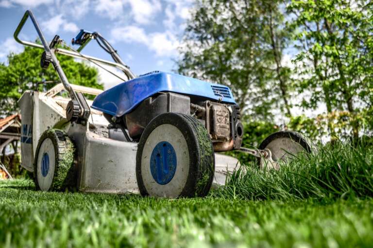 Grünflächen- & Gartenpflege - Professioneller Service in Wien